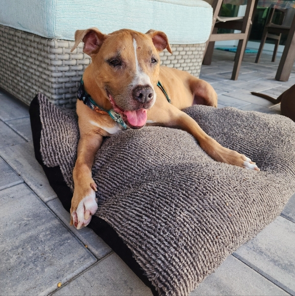 Clothes, jewelry, NWT purses, makeup, literally have to sell everything I own - Picture 4 of 16